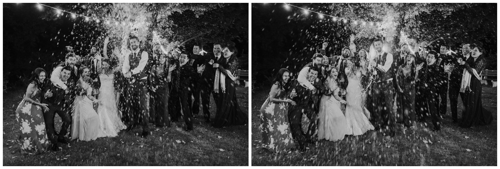 Allenberry Resort Wedding Photographer-317.jpg