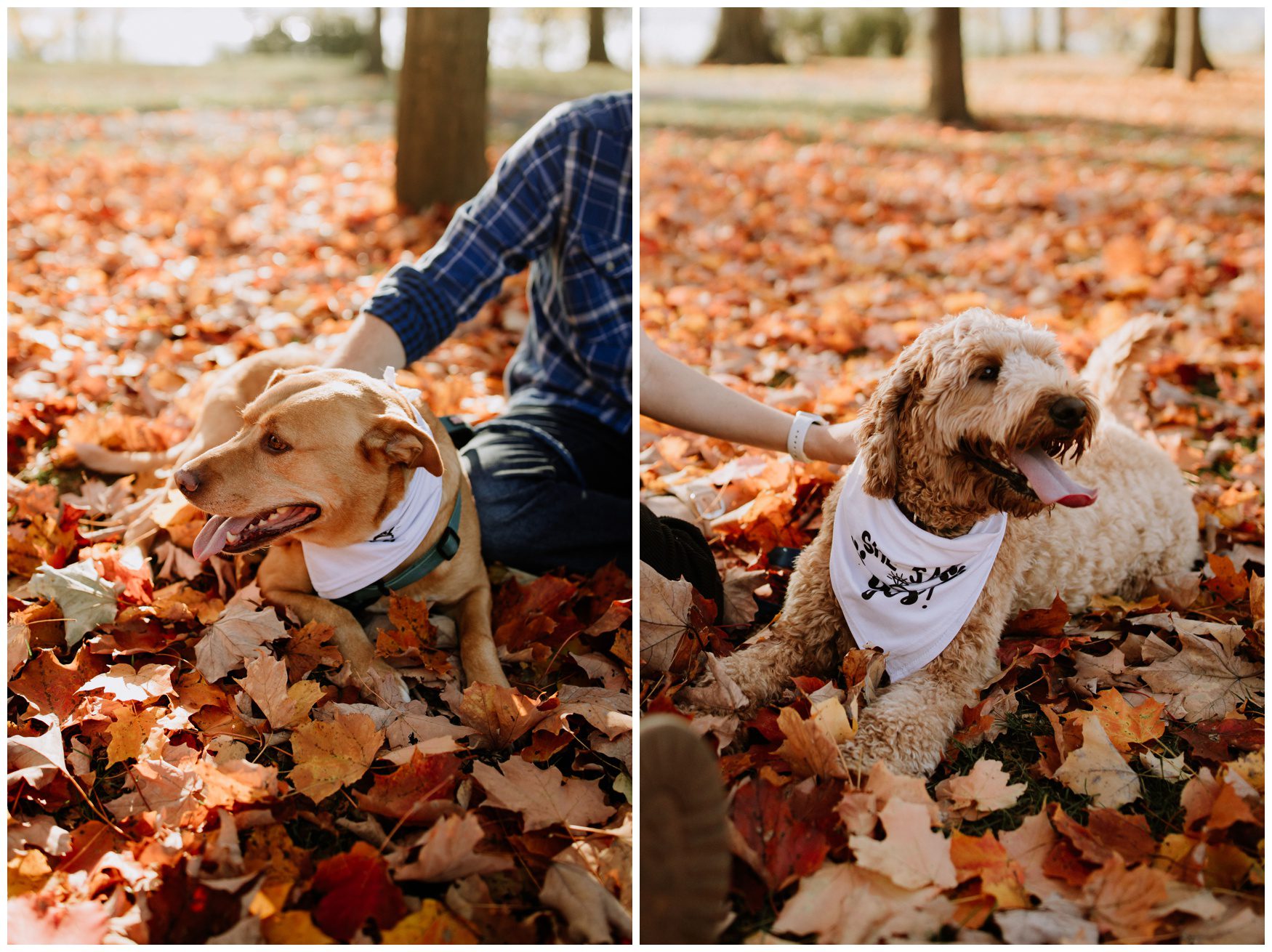 Engagement Photos-19.jpg