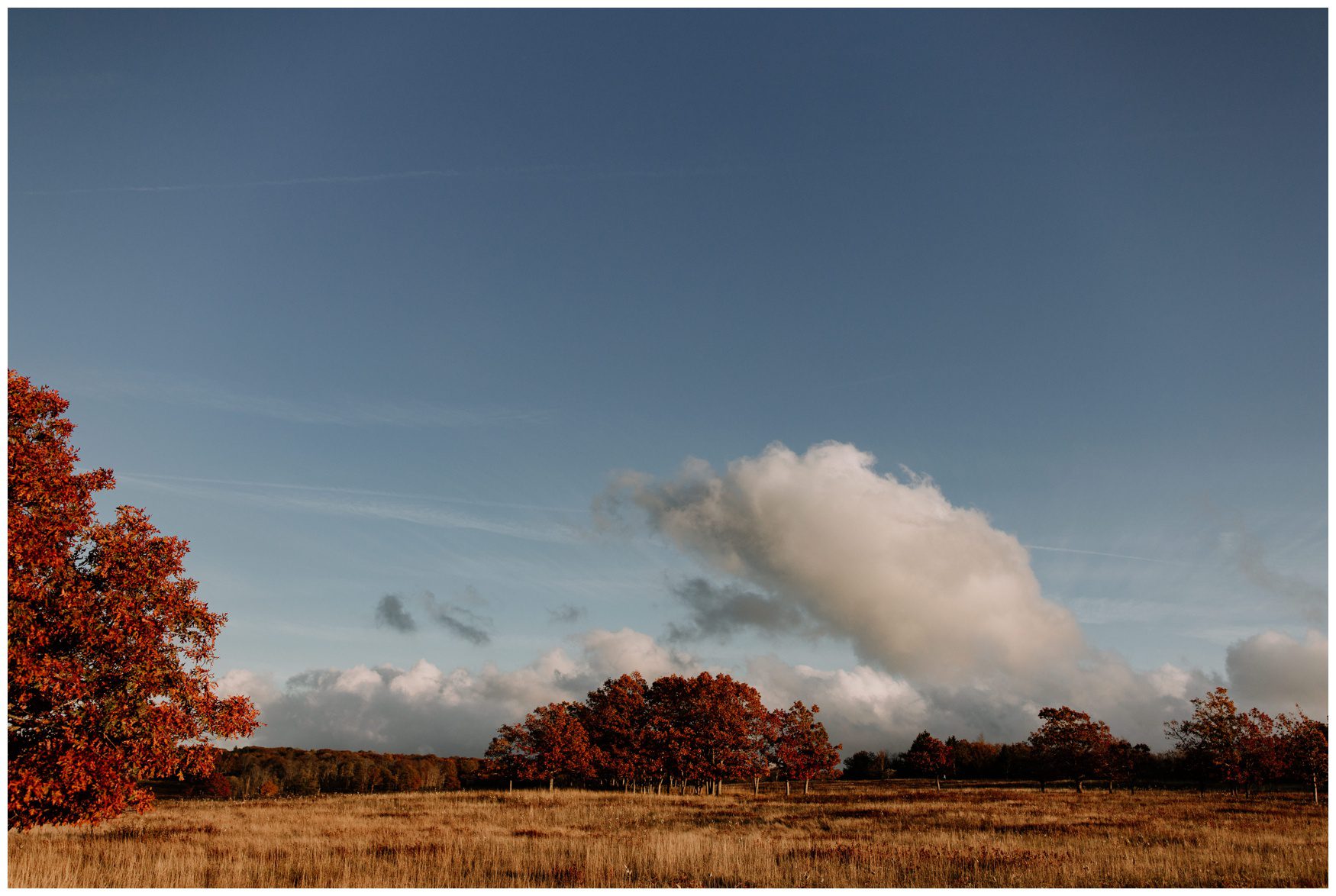 Virginia Mountain Elopement 