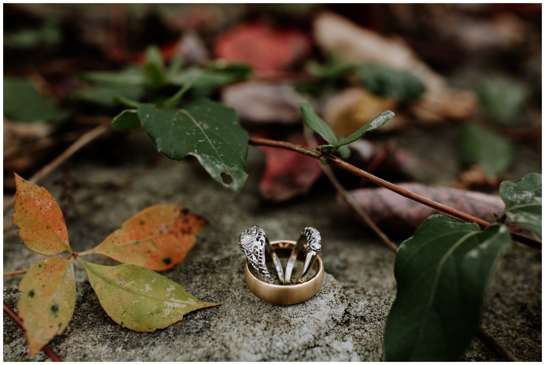 Battlefield Bed and Breakfast Wedding Photographer-17.jpg Battlefield Bed and Breakfast Wedding Photographer-17.jpg