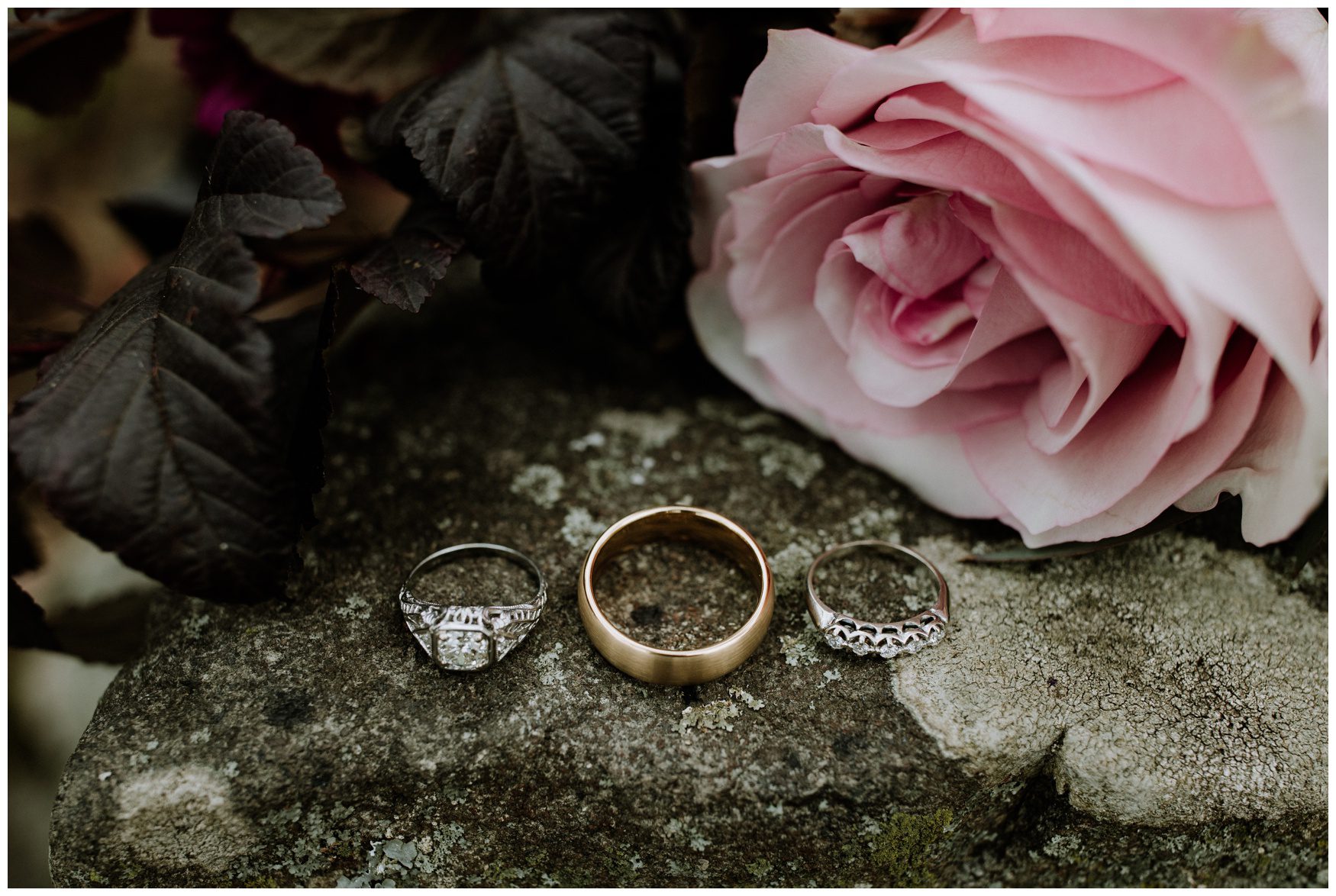 Battlefield Bed and Breakfast Wedding Photographer-18.jpg Battlefield Bed and Breakfast Wedding Photographer-18.jpg