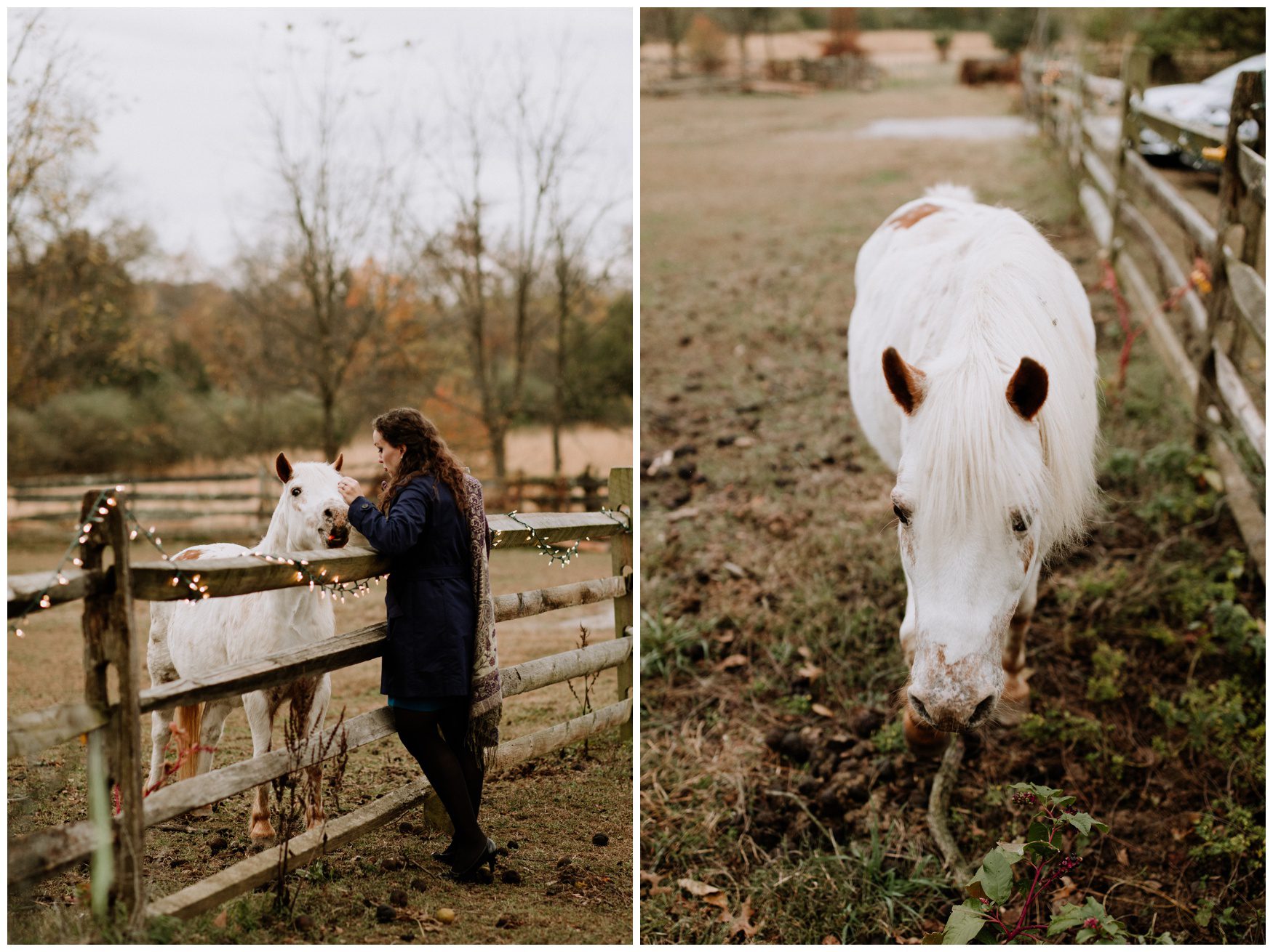 Battlefield Bed and Breakfast Wedding Photographer-225.jpg Battlefield Bed and Breakfast Wedding Photographer-225.jpg