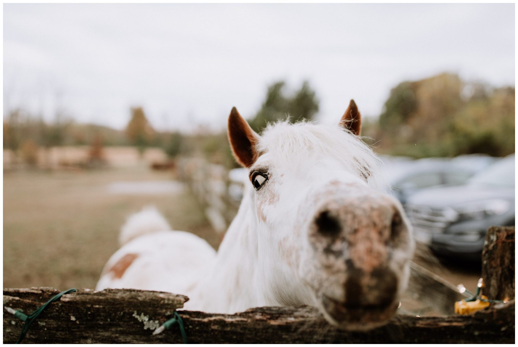 Battlefield Bed and Breakfast Wedding Photographer-227.jpg Battlefield Bed and Breakfast Wedding Photographer-227.jpg