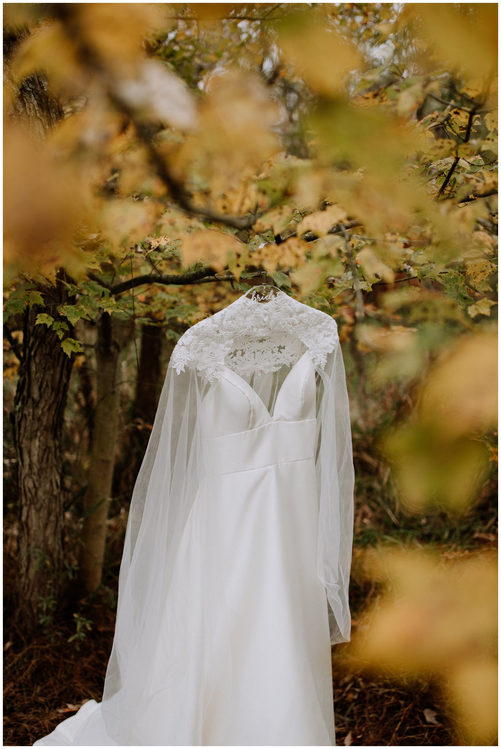 Battlefield Bed and Breakfast Wedding Photographer-24.jpg Battlefield Bed and Breakfast Wedding Photographer-24.jpg