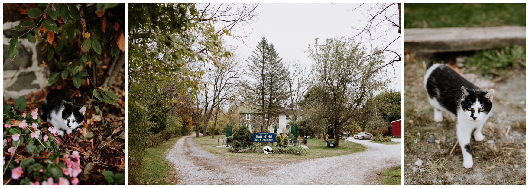 Battlefield Bed and Breakfast Wedding Photographer-33.jpg Battlefield Bed and Breakfast Wedding Photographer-33.jpg