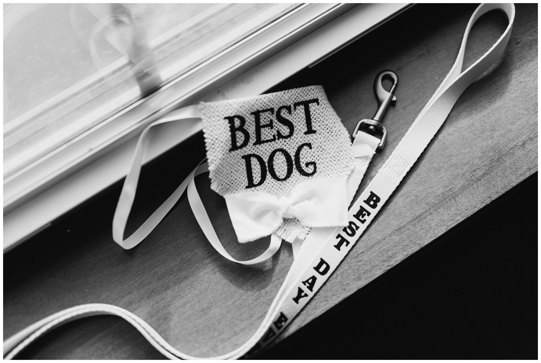 Boston Wedding Elopement Photographer-14.jpg