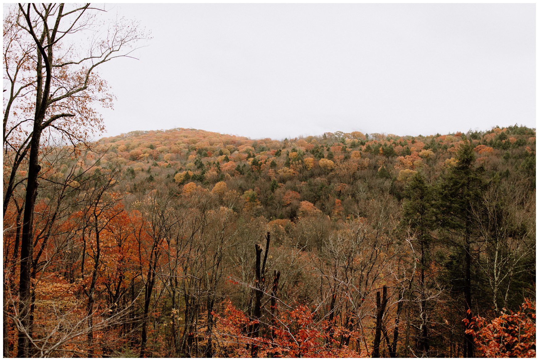 Promise Ridge Wedding Photographer-13.jpg