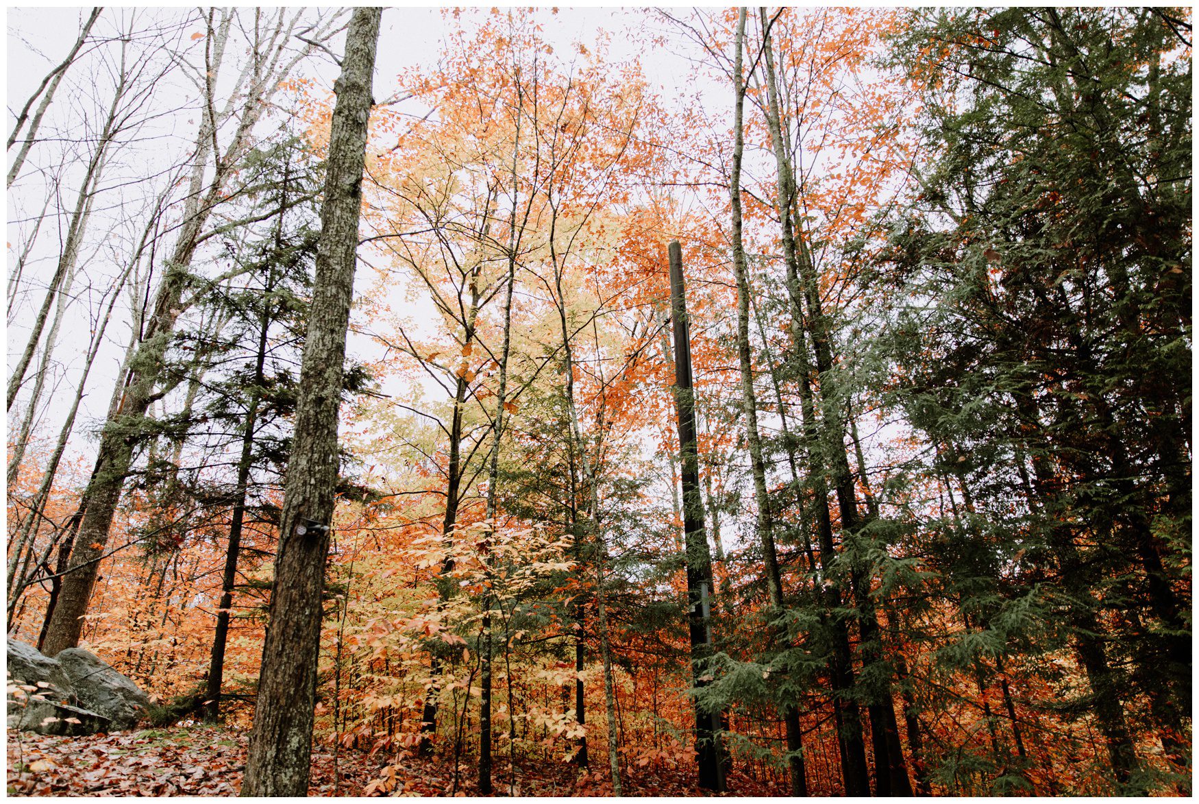 Promise Ridge Wedding Photographer-2.jpg