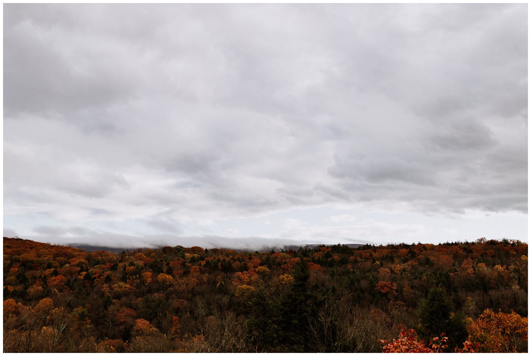 Promise Ridge Wedding Photographer-54.jpg