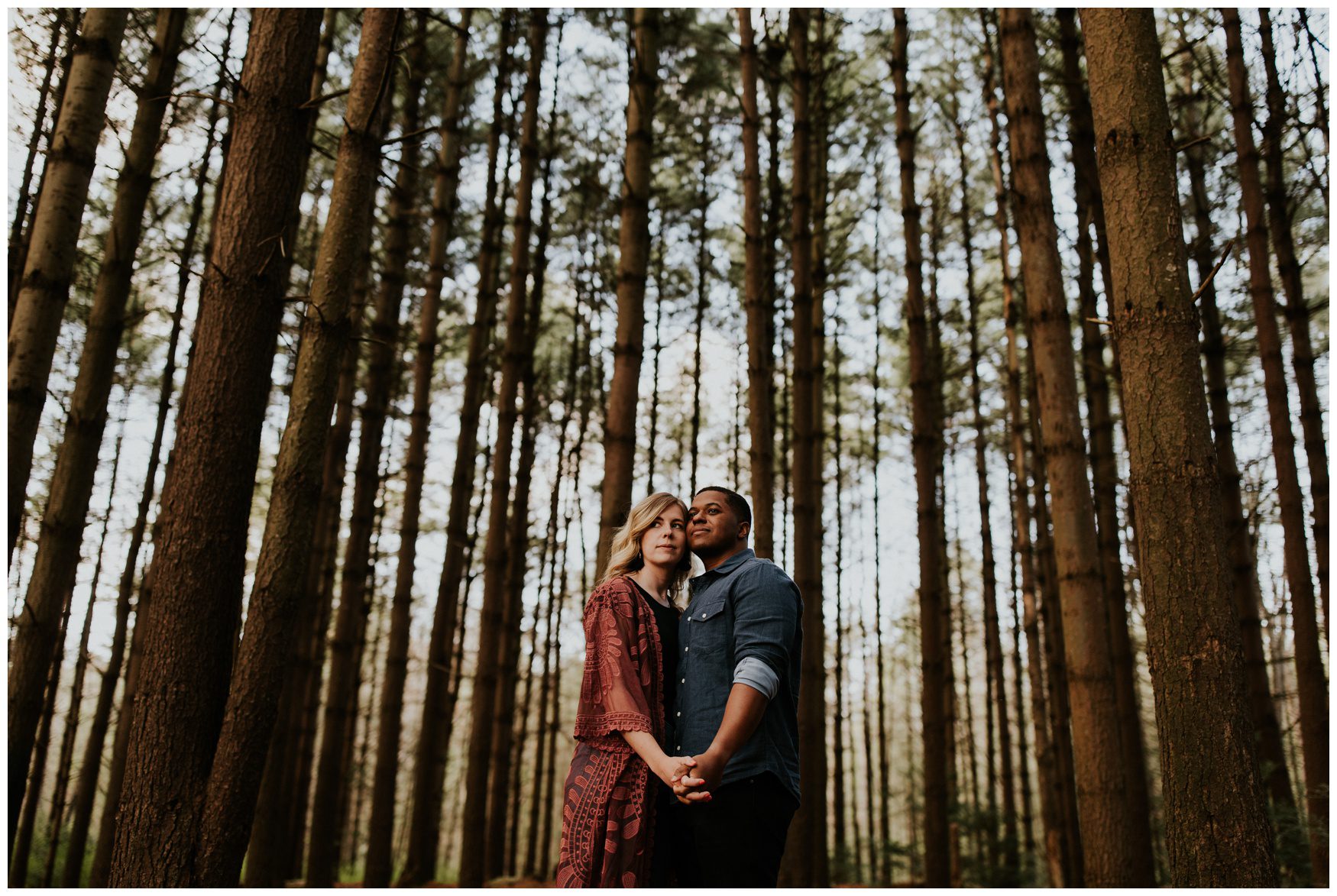 Michaux State Forest Long Pine Reservior