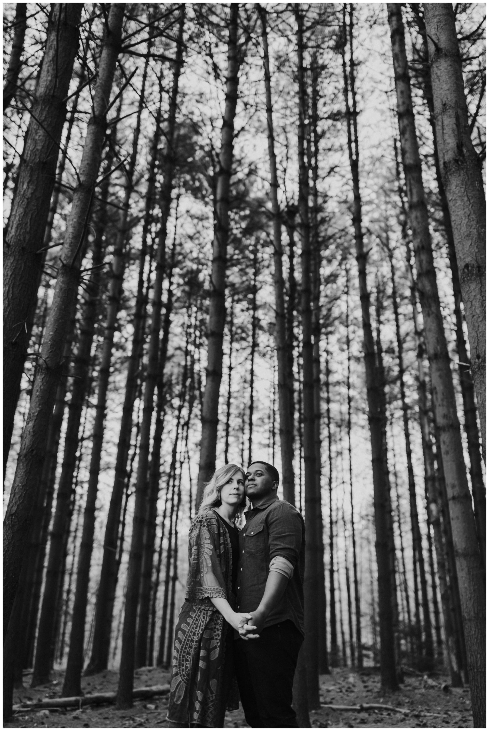 Michaux State Forest Long Pine Reservior