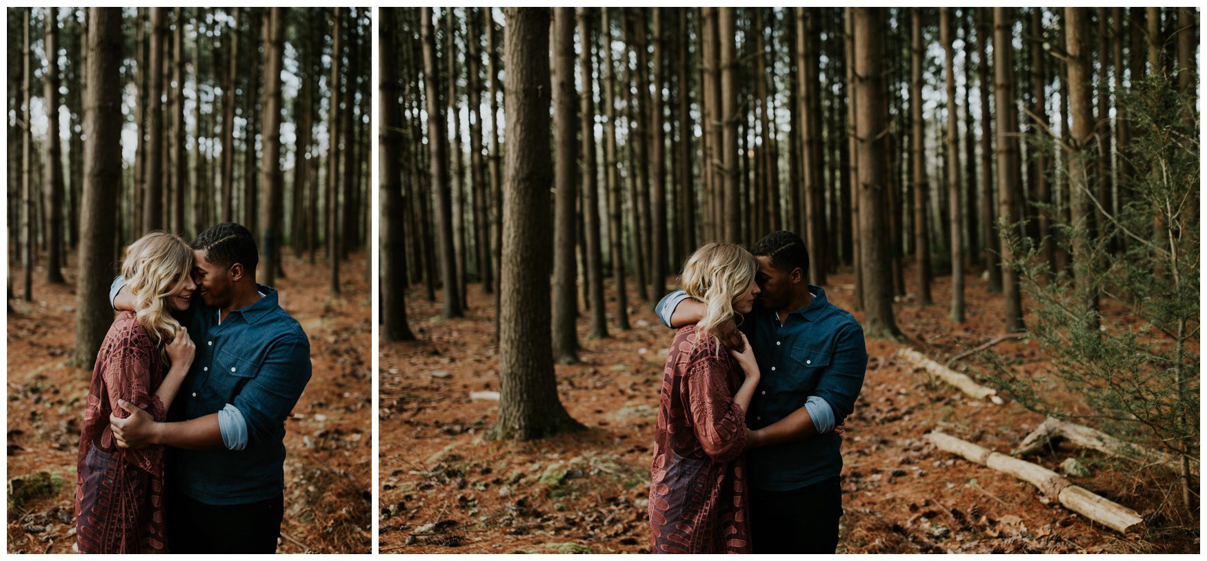 Michaux State Forest Long Pine Reservior