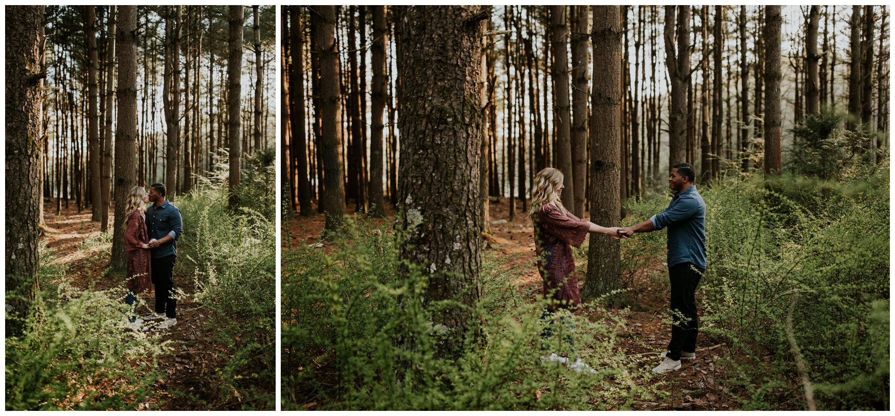 Michaux State Forest Long Pine Reservior