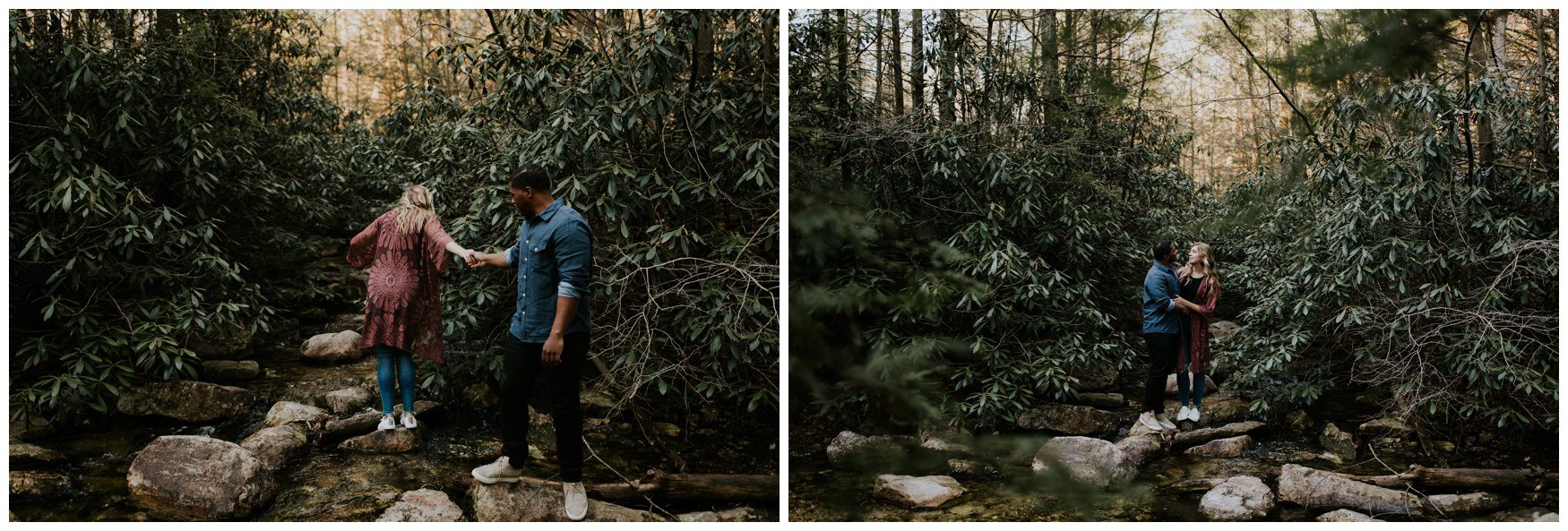 Michaux State Forest Long Pine Reservior