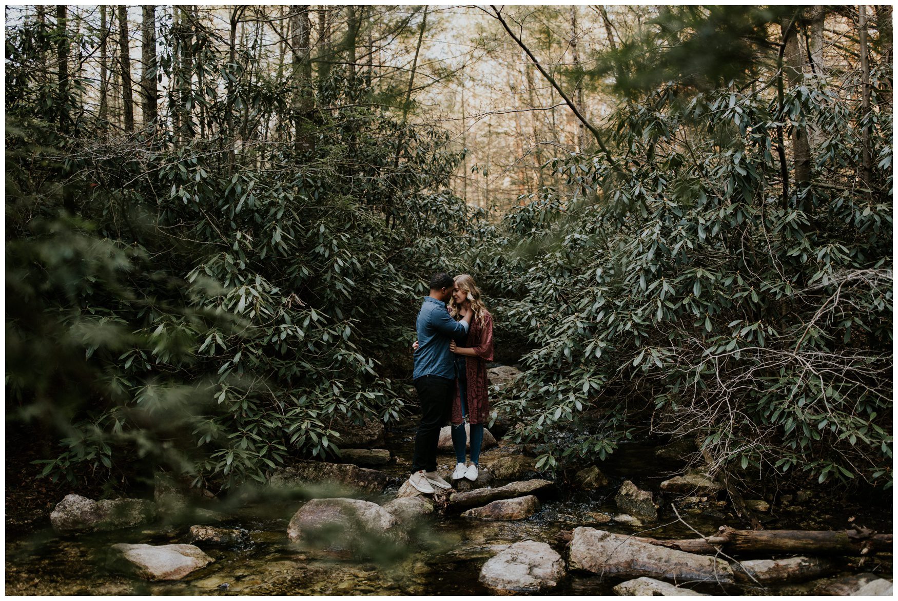 Michaux State Forest Long Pine Reservior