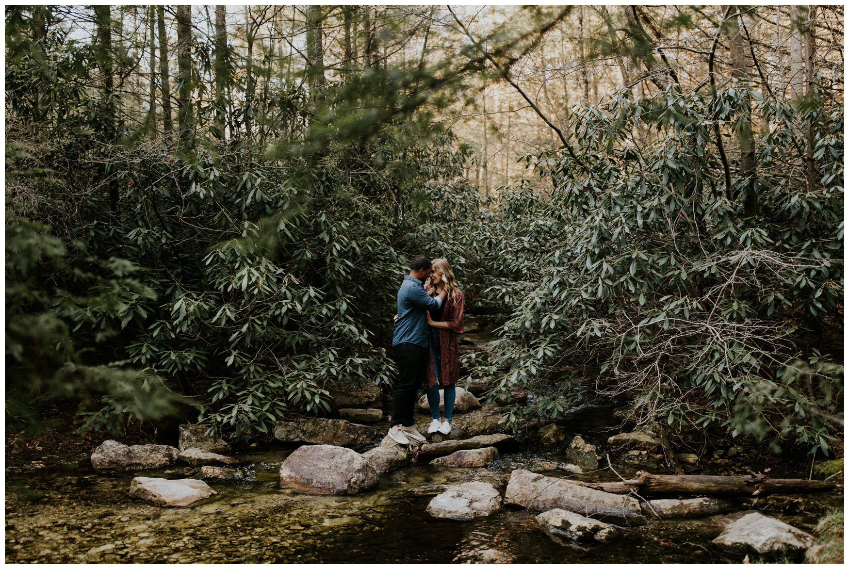Michaux State Forest Long Pine Reservior