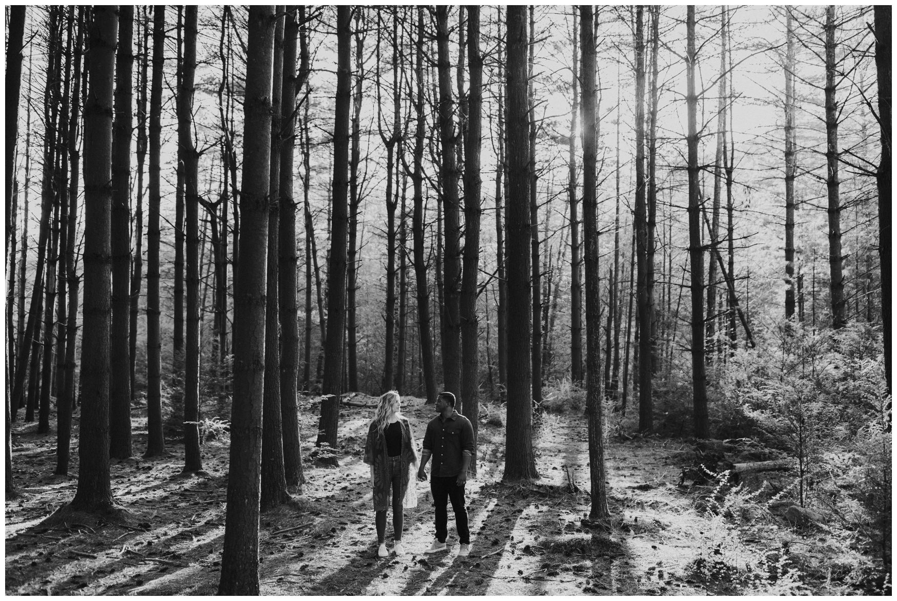 Michaux State Forest Long Pine Reservior