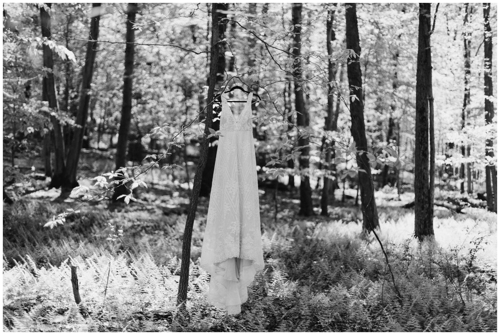 Frederick Elopement Photographer