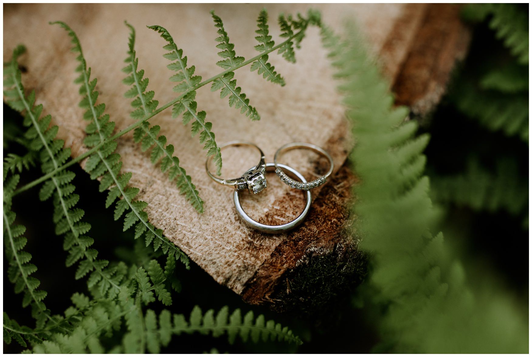 Frederick Elopement Photographer