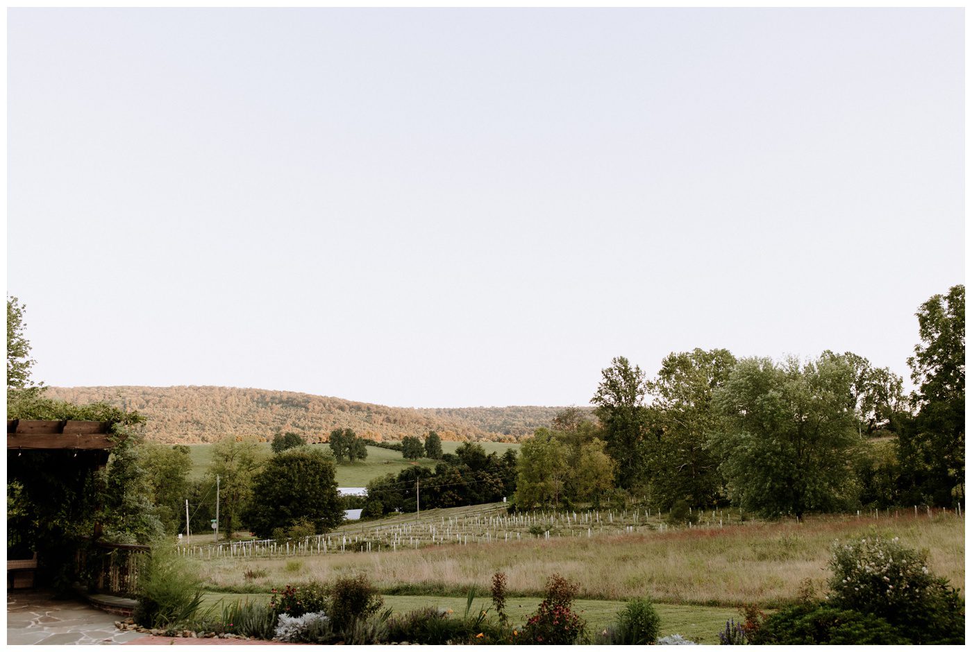 Wedding Photos - Reception-4.jpg Wedding Photos - Reception-4.jpg