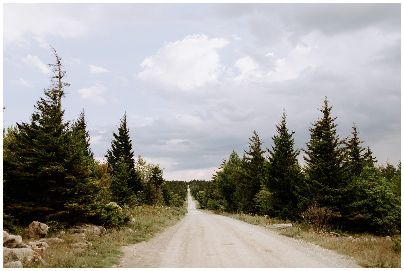 Engagement Photos-1.jpg