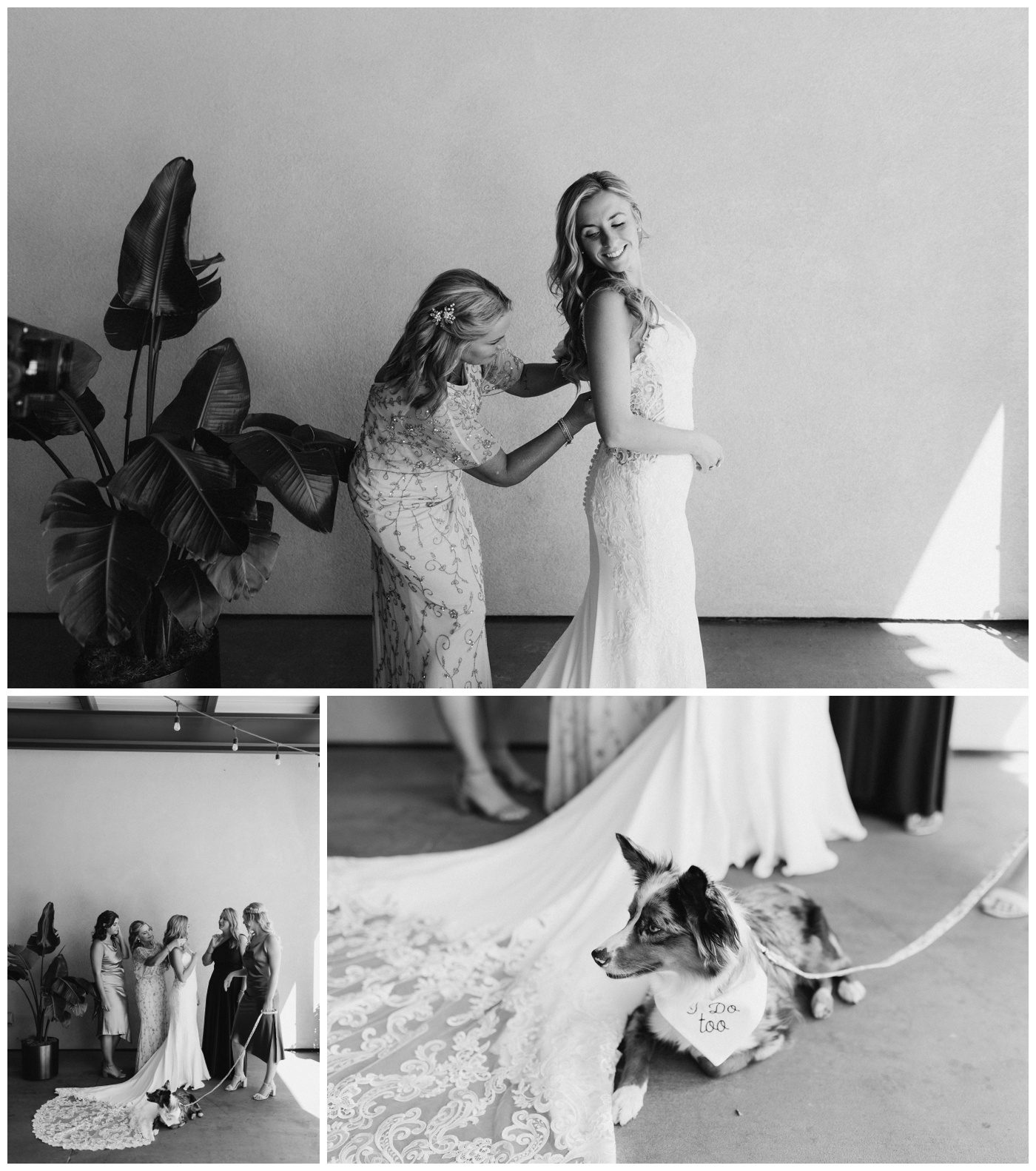 Garden of the Gods Colorado Elopement Photographer-6.jpg