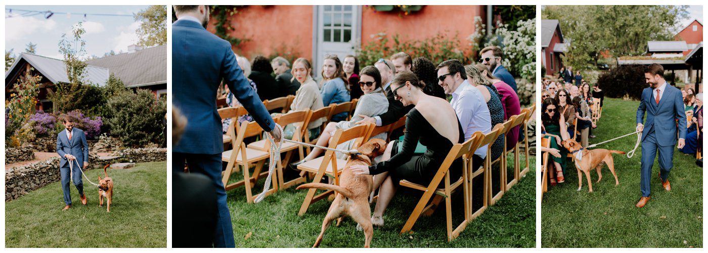 Zigbone Farm Wedding Photographer-132.jpg