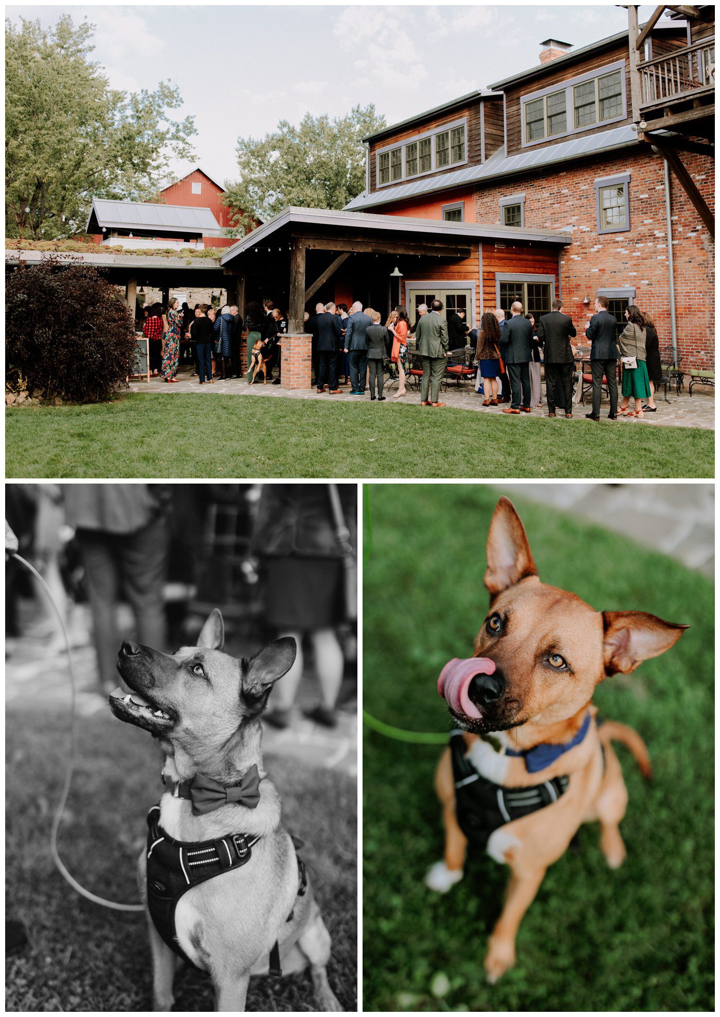 Zigbone Farm Wedding Photographer-209.jpg