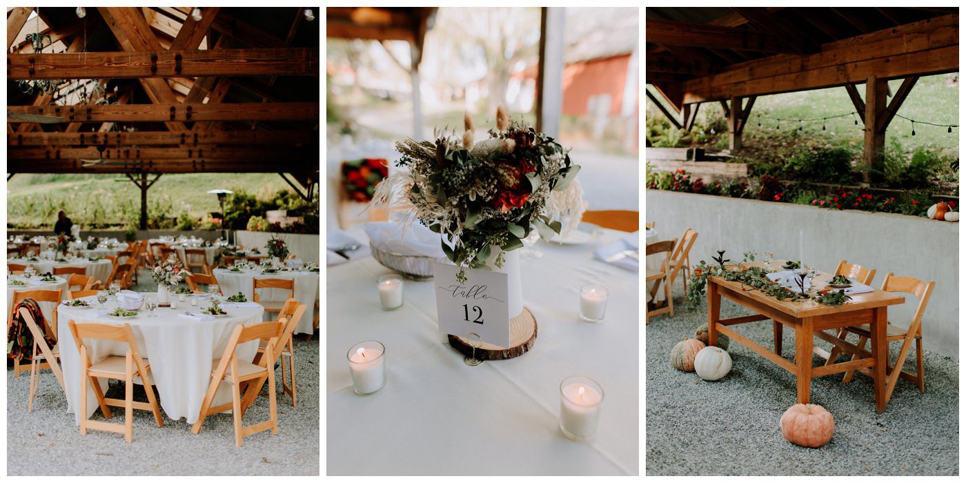 Zigbone Farm Wedding Photographer-233.jpg