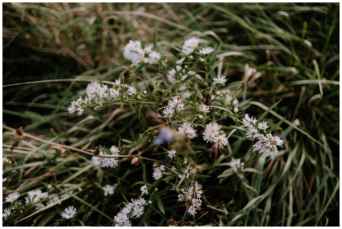 Zigbone Farm Wedding Photographer-321.jpg